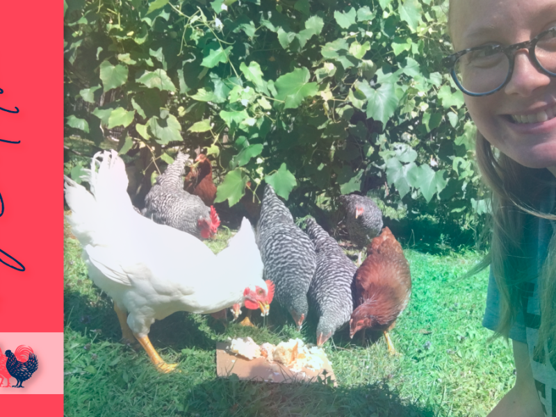 Won’t You Be My&nbsp;Neighbor?